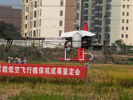 皇家国际科技超低空？胤尚兄脖；ü蒲谐删图