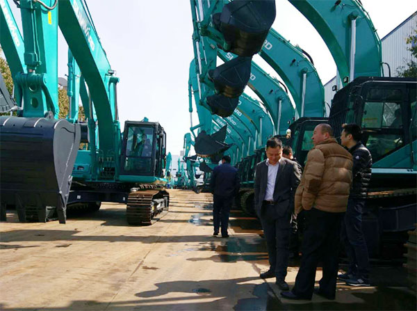 快来看，快来看，这里有一群绿精灵