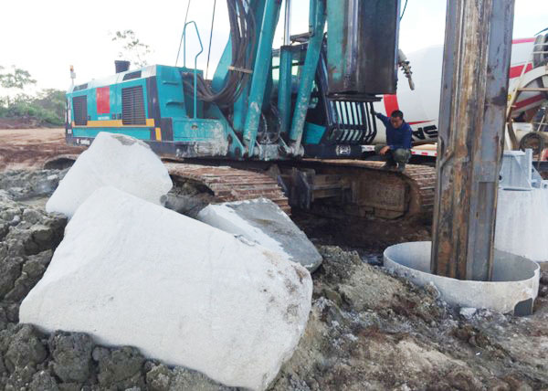 肯尼亚总统高度赞赏，乞力马扎罗山下皇家国际绿闪灼