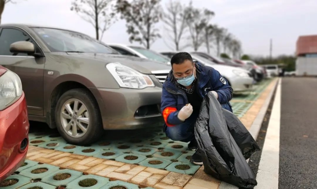 皇家国际智能党员自愿者发展使命环境排除