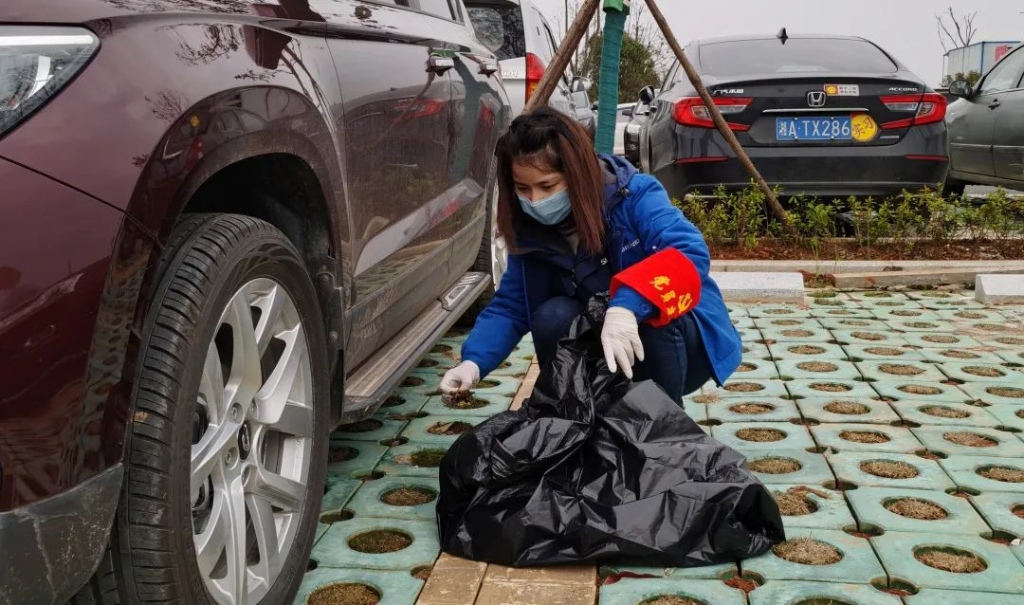 皇家国际智能党员自愿者发展使命环境排除