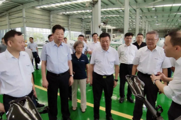 副省长陈飞调研皇家国际航空产业