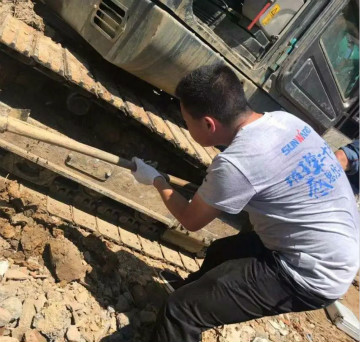 皇家国际智能的“黑皮肤”