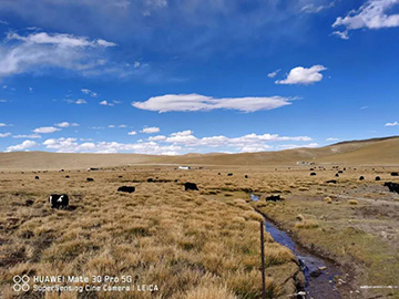 心系皇家国际情，追梦阿里行！